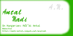 antal madi business card